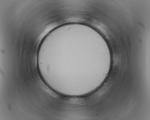 X0000090621322200708071216