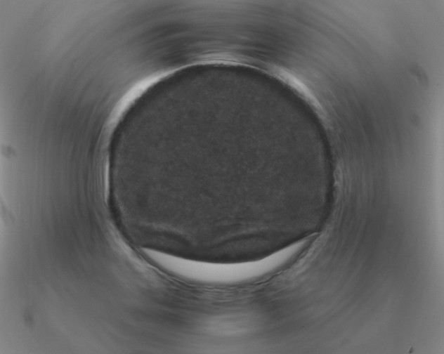 X0000090621323200708071216