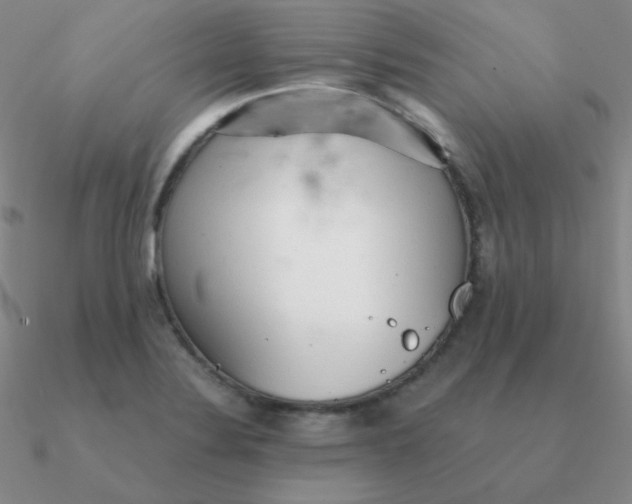 X0000090621324200708071216