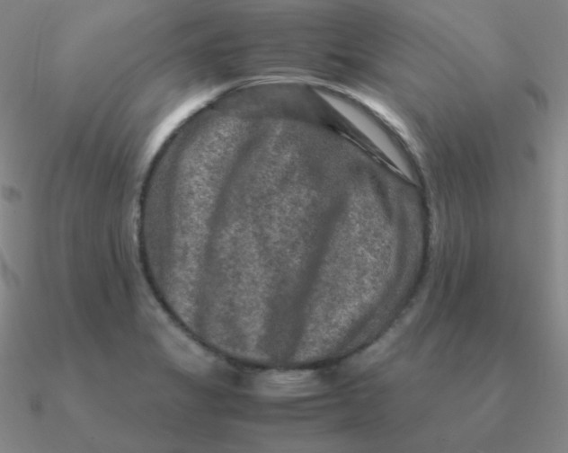 X0000090621325200708071216