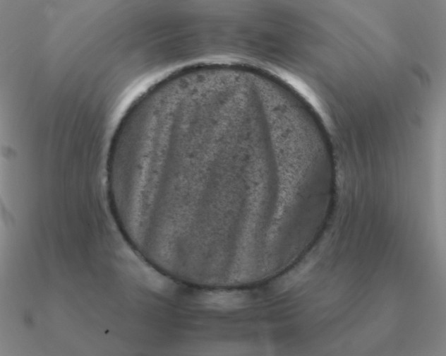 X0000090621327200708071216