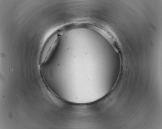 X0000090621328200708071216