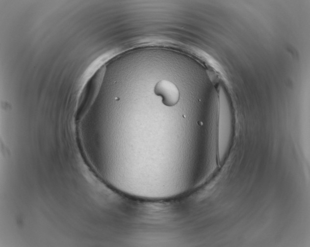 X0000090621330200708071216