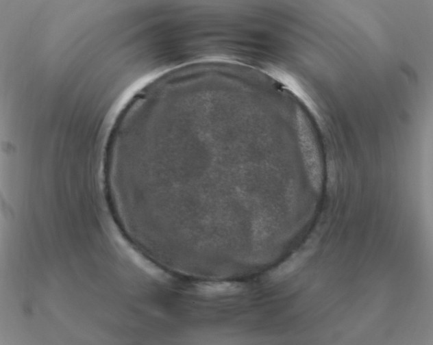 X0000090621331200708071216