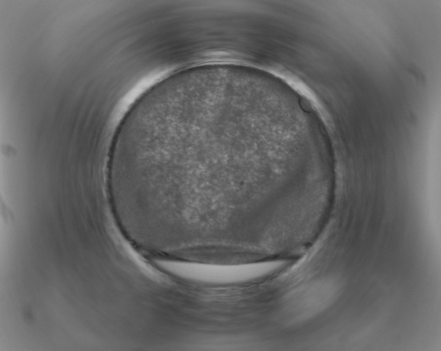 X0000090621333200708071216