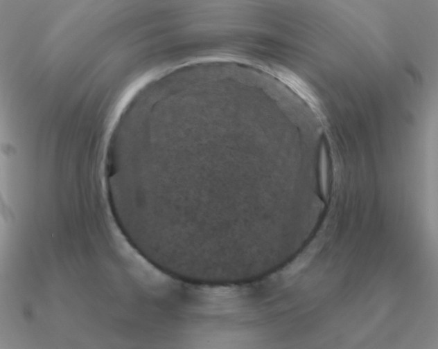 X0000090621334200708071216