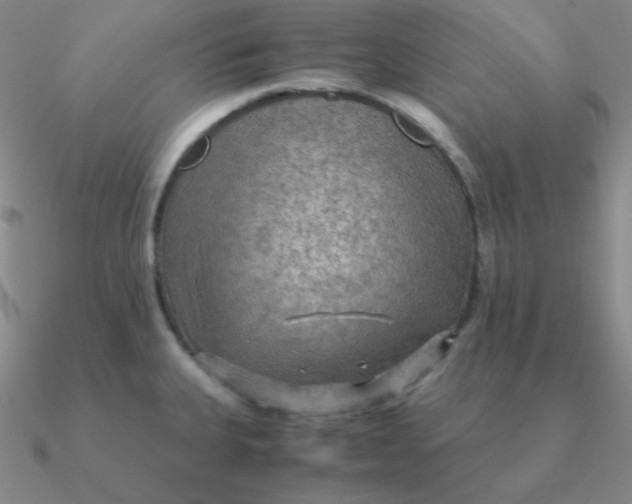 X0000090621335200708071216