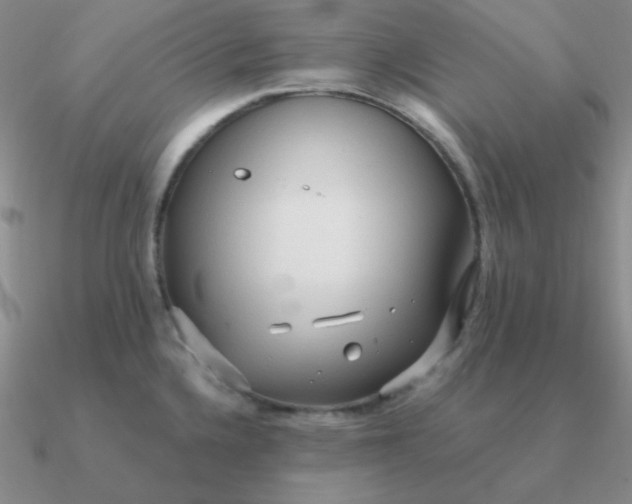 X0000090621336200708071216