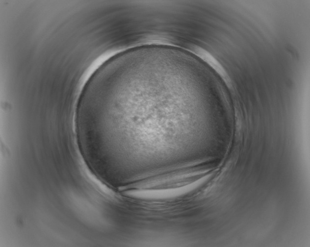 X0000090621339200708071217