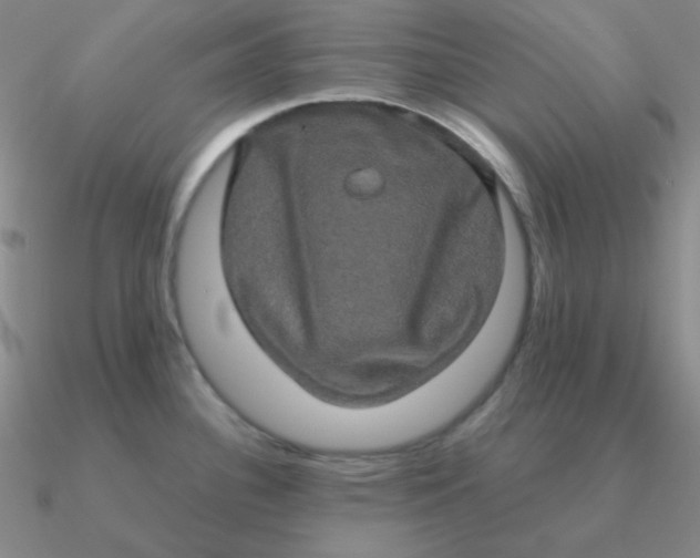 X0000090621340200708071217