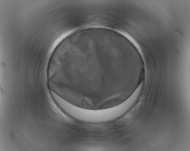 X0000090621341200708071217