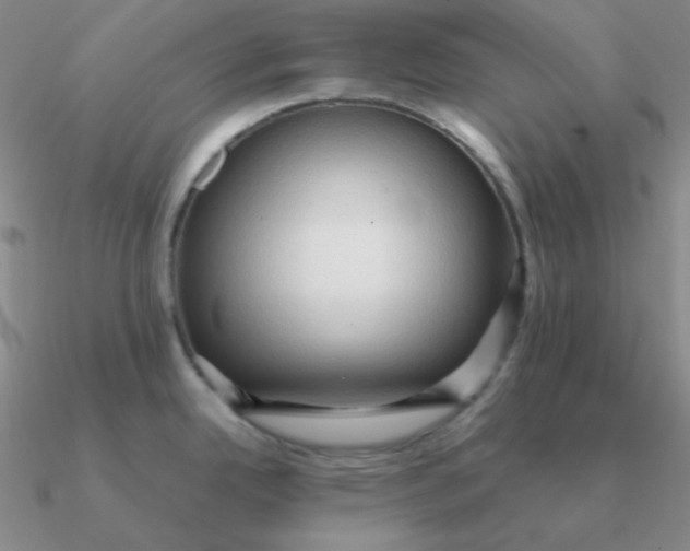 X0000090621342200708071217