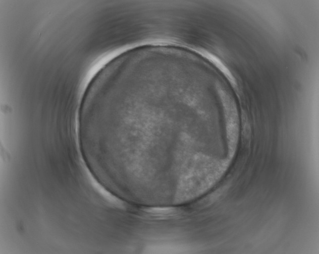 X0000090621343200708071217