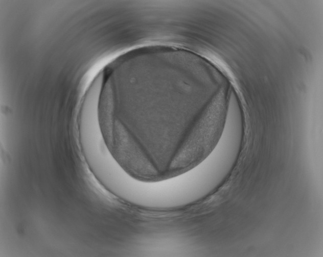 X0000090621344200708071217