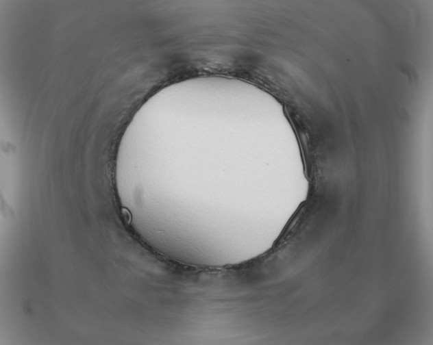 X0000090621345200708071216