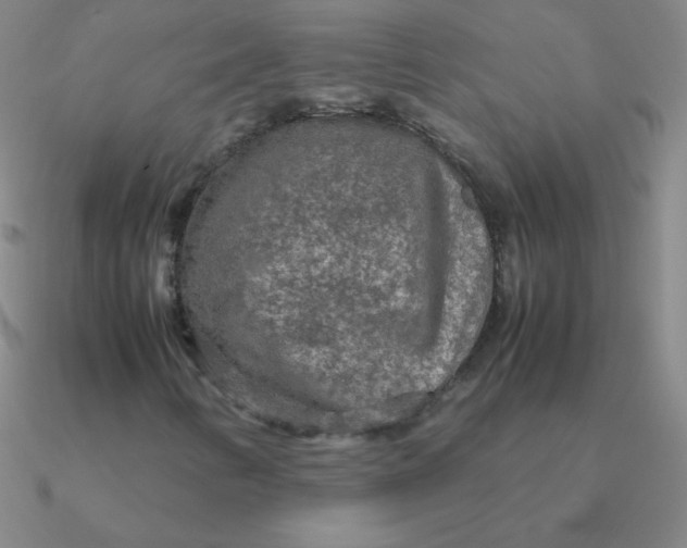 X0000090621346200708071216