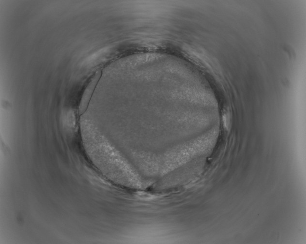 X0000090621347200708071216