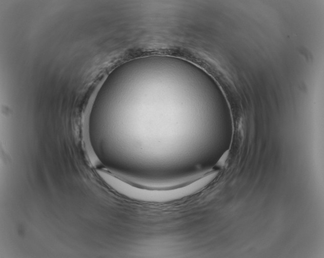 X0000090621348200708071216