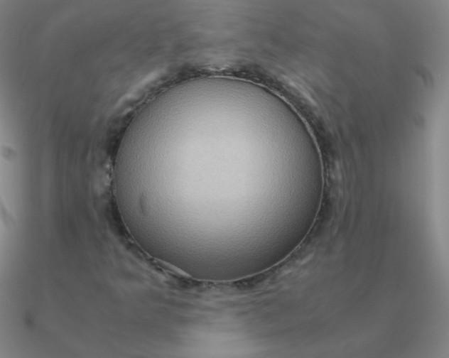 X0000090621349200708071216