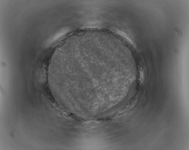 X0000090621350200708071216