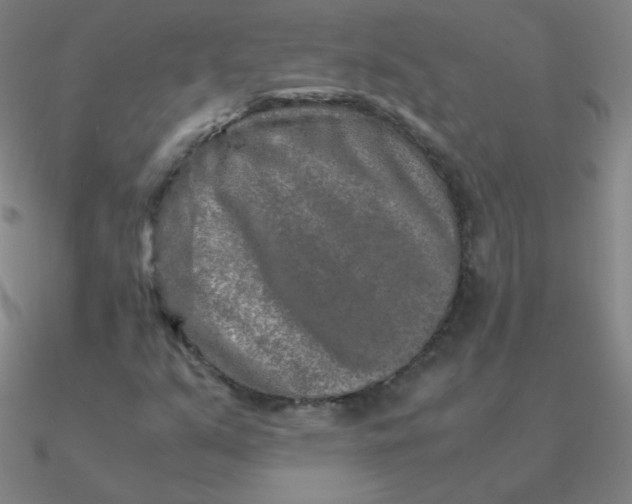 X0000090621351200708071216