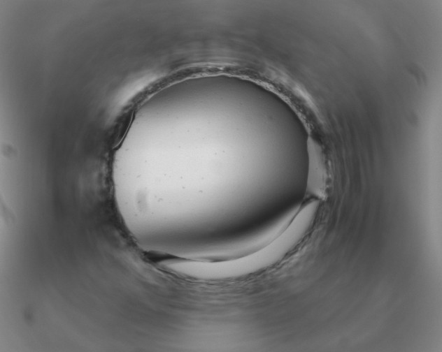 X0000090621352200708071216