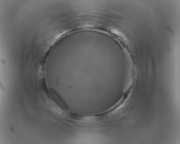 X0000090621353200708071216