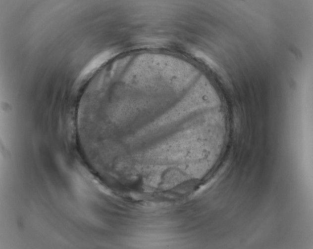 X0000090621354200708071216