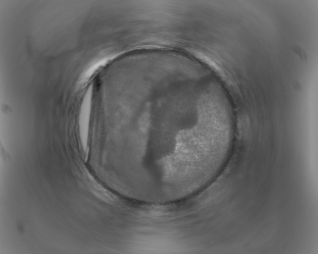 X0000090621355200708071216