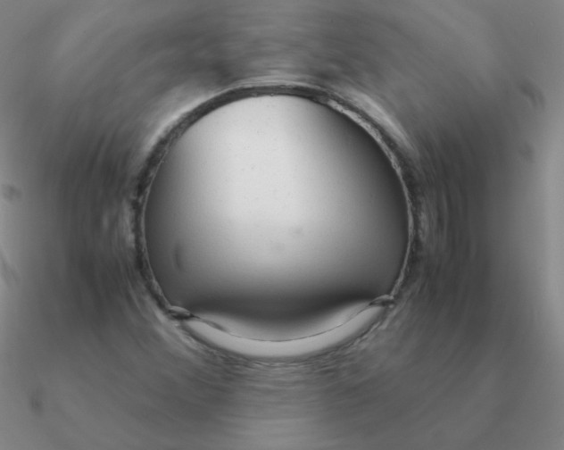 X0000090621356200708071216