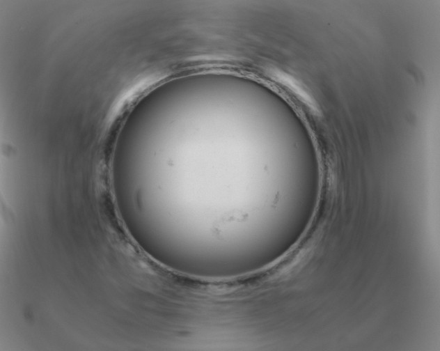 X0000090621357200708071216