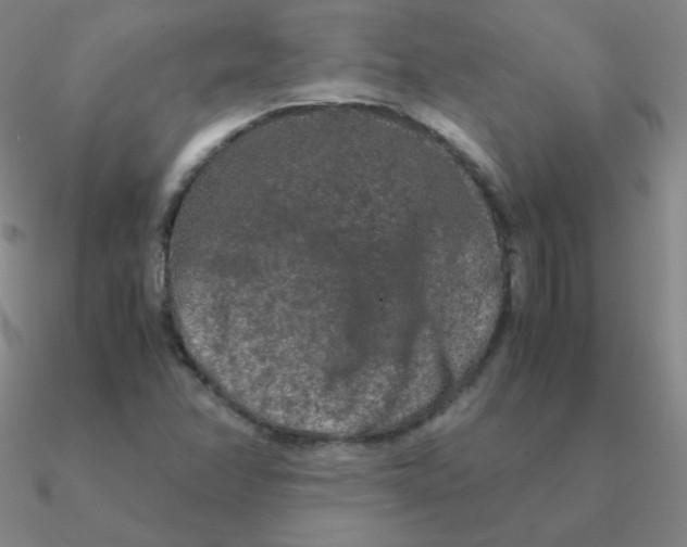 X0000090621358200708071216