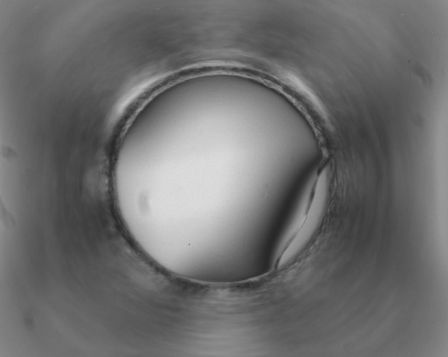 X0000090621360200708071216