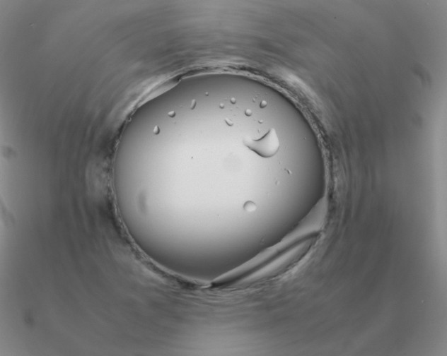 X0000090621361200708071216