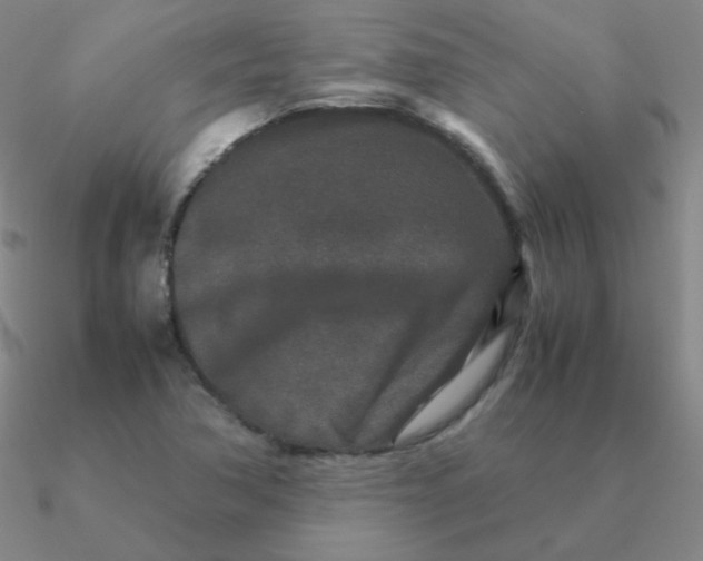 X0000090621362200708071216