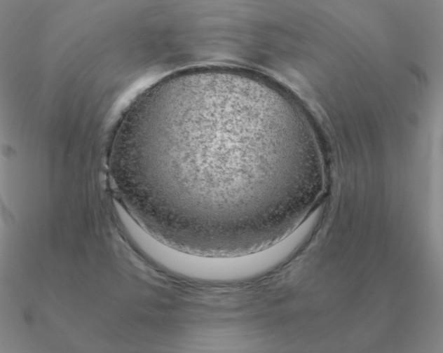 X0000090621363200708071216