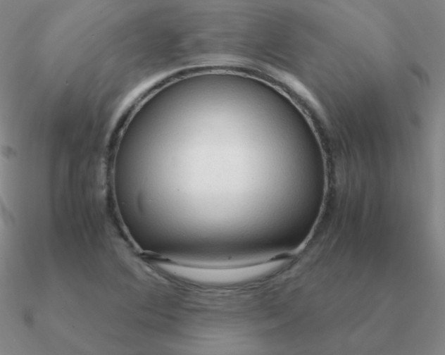 X0000090621364200708071216