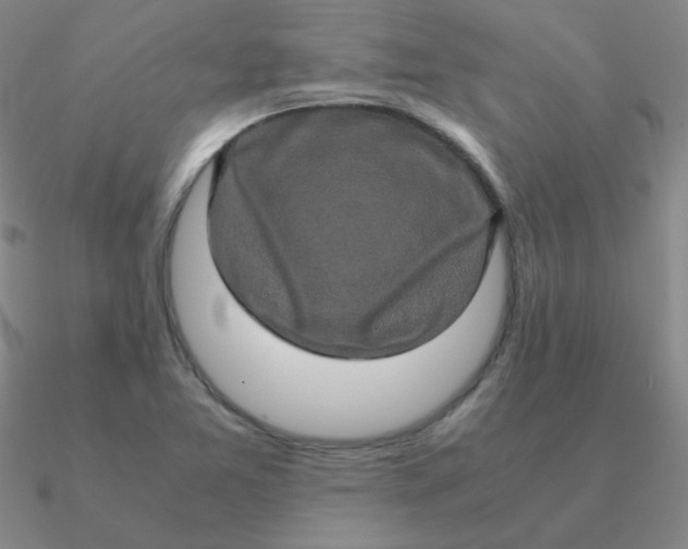 X0000090621365200708071216