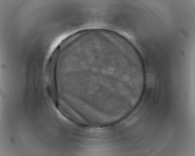 X0000090621366200708071216