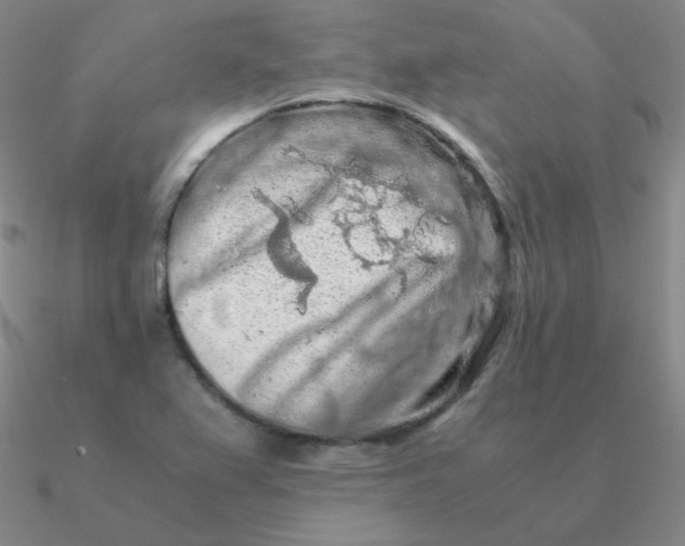 X0000090621367200708071216