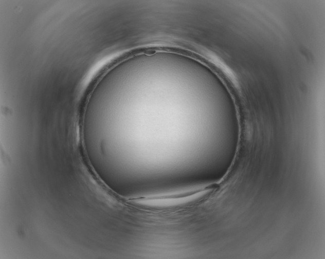 X0000090621368200708071216