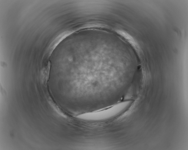 X0000090621369200708071216