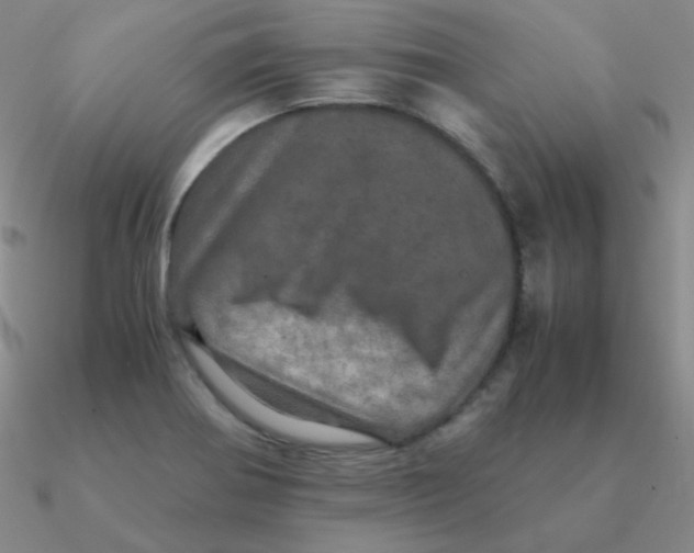 X0000090621370200708071216