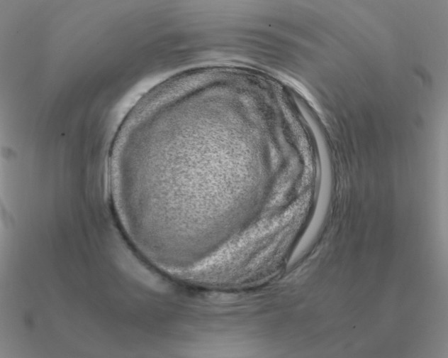 X0000090621371200708071216