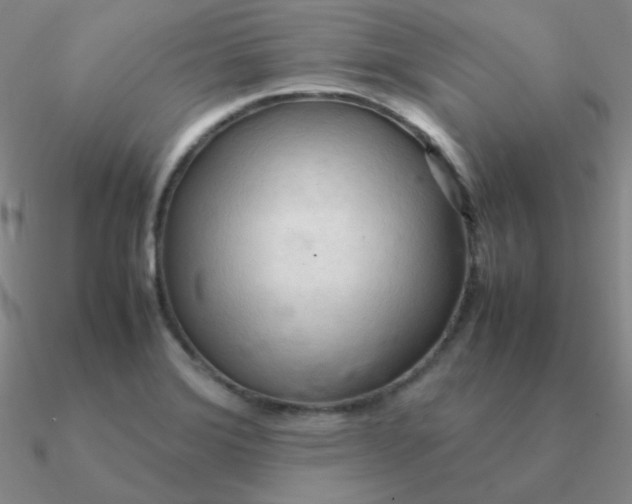 X0000090621372200708071216