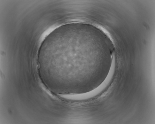 X0000090621373200708071216