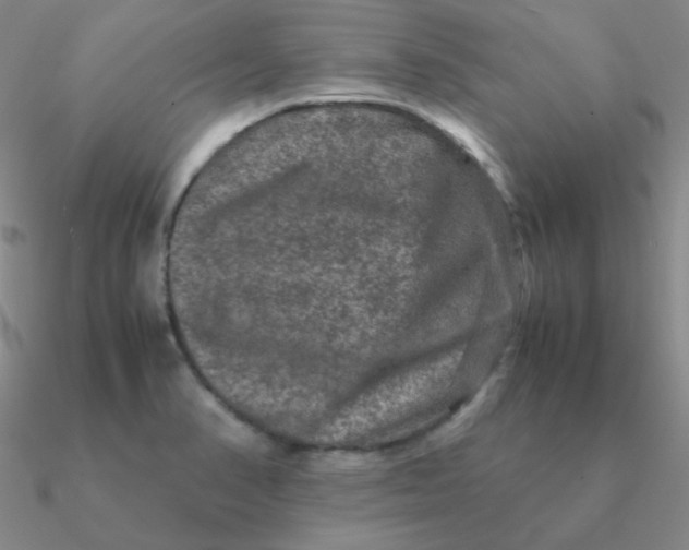 X0000090621374200708071216