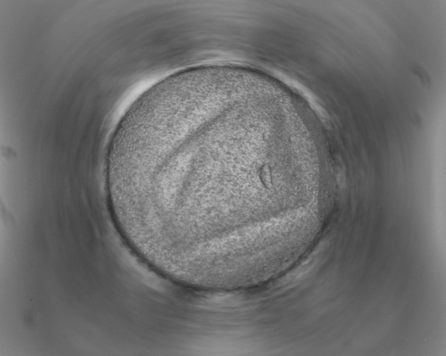 X0000090621375200708071216