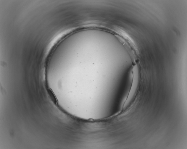 X0000090621376200708071216