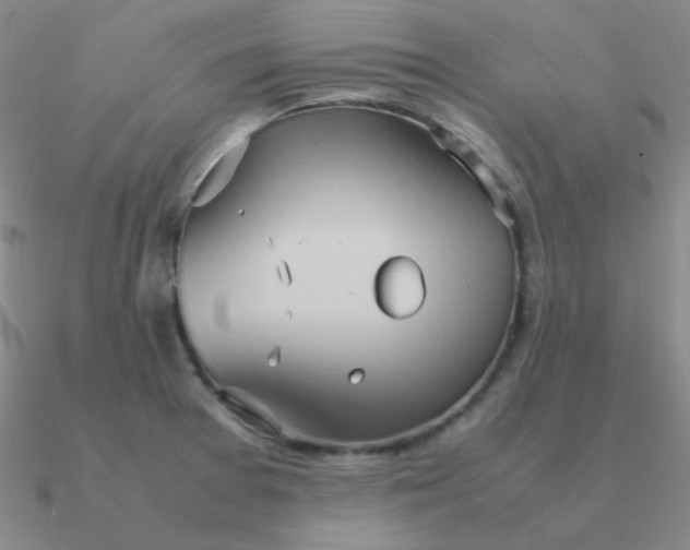 X0000090621377200708071216